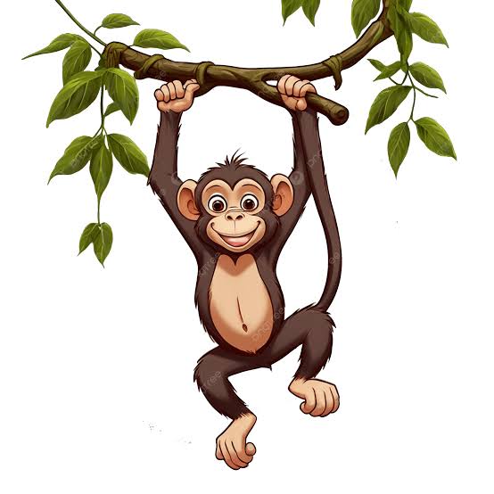 Willows paradise monkeys logo